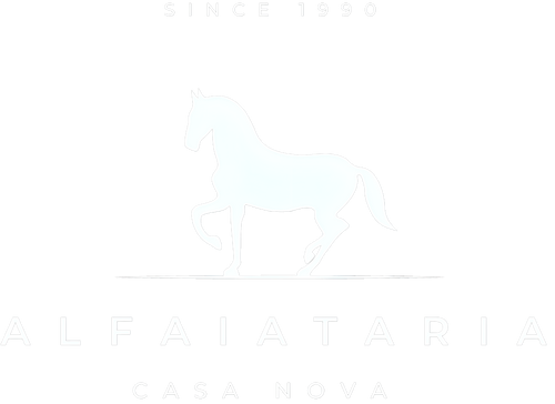 Alfaiataria Casa Nova